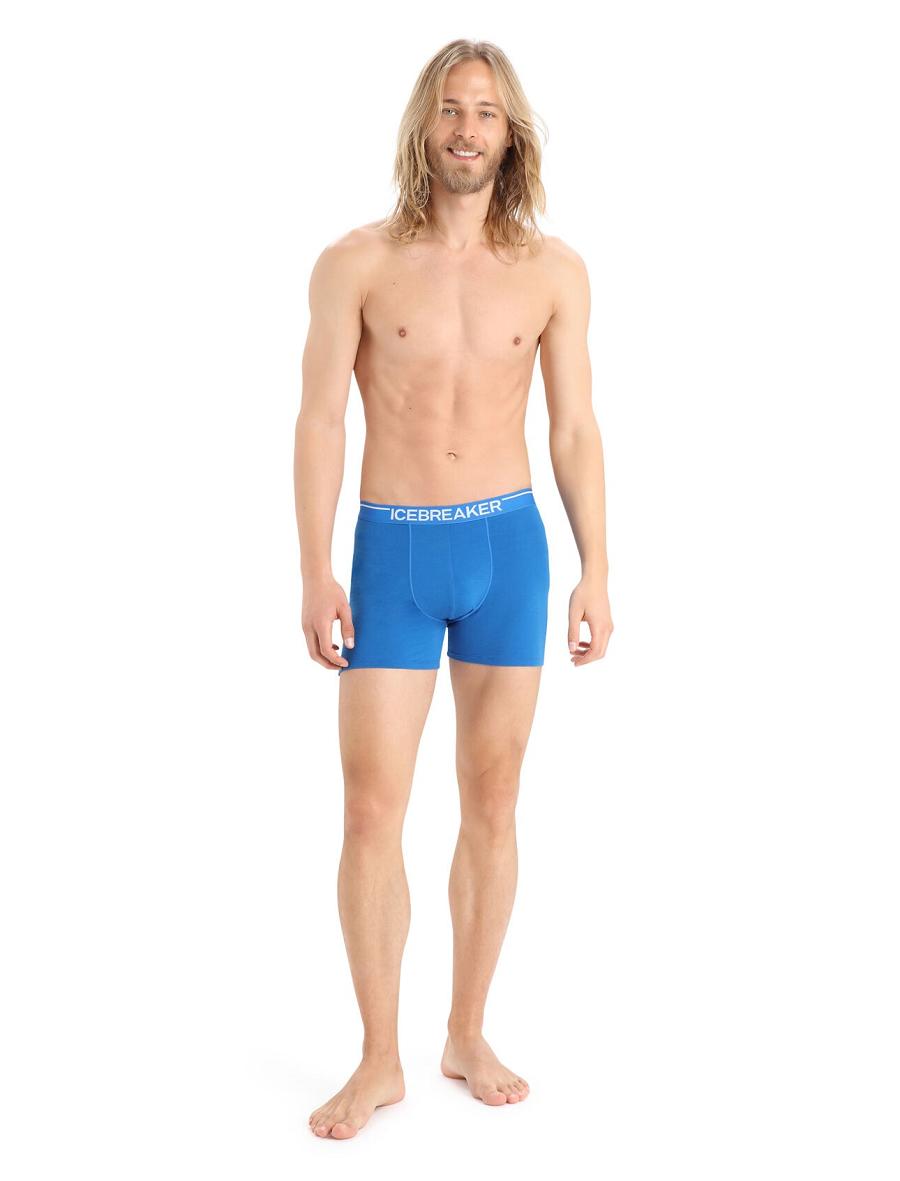 Men's Icebreaker Merino Anatomica Boxers Underwear Lazurite | CA 1636KORI